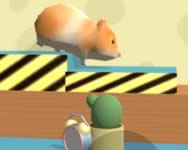 Hamster maze online ovis ingyen játék