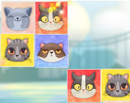Kitten match ovis HTML5 játék